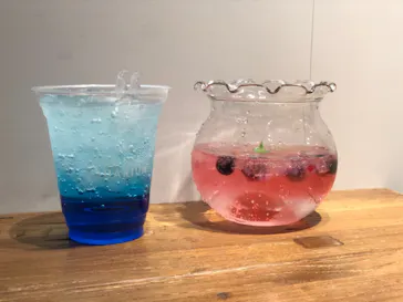 すみだ水族館に投稿された画像（2020/11/28）