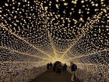 東京メガイルミに投稿された画像（2020/11/28）