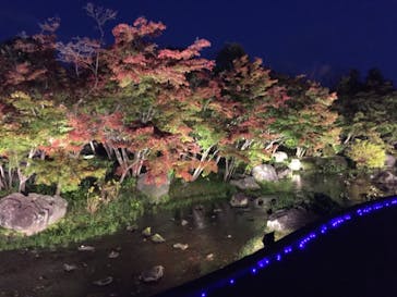 なばなの里に投稿された画像（2020/11/28）