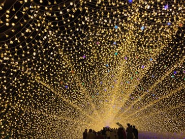 なばなの里に投稿された画像（2020/11/28）