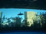 サンシャイン水族館に投稿された画像（2020/11/28）