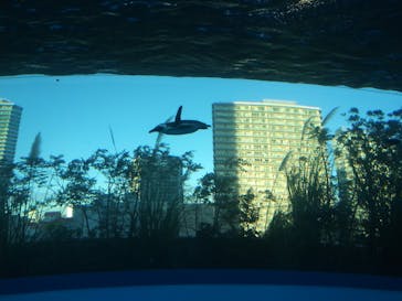 サンシャイン水族館に投稿された画像（2020/11/28）