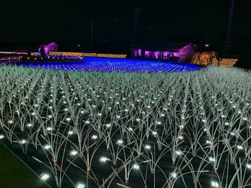 東京メガイルミに投稿された画像（2020/11/28）