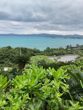 古宇利オーシャンタワーに投稿された画像（2020/11/28）