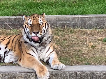 天王寺動物園に投稿された画像（2020/11/28）