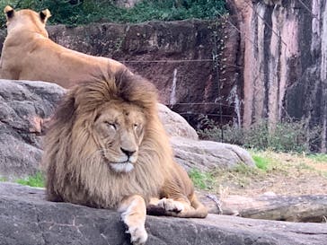 天王寺動物園に投稿された画像（2020/11/28）