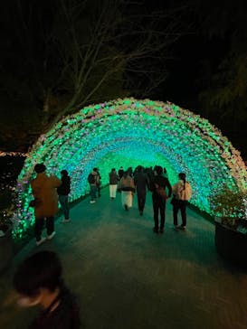 なばなの里に投稿された画像（2020/11/28）