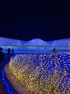 なばなの里に投稿された画像（2020/11/28）