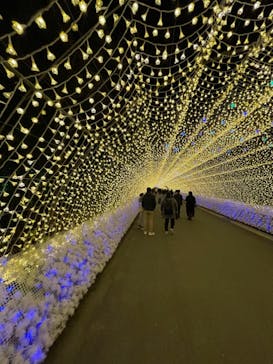 なばなの里に投稿された画像（2020/11/28）