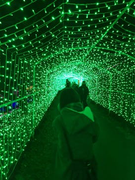 さがみ湖MORI MORIに投稿された画像（2020/11/28）