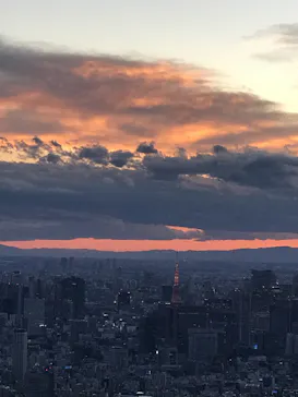 東京スカイツリーに投稿された画像（2020/11/28）