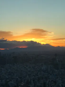 東京スカイツリーに投稿された画像（2020/11/28）