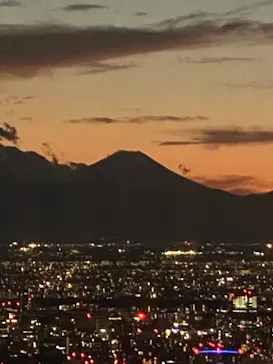 東京スカイツリーに投稿された画像（2020/11/28）