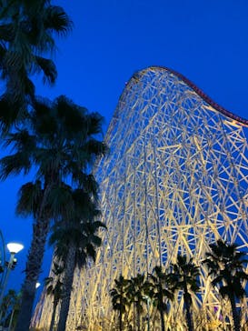 ナガシマスパーランドに投稿された画像（2020/11/28）