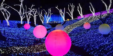 さがみ湖MORI MORIに投稿された画像（2020/11/28）