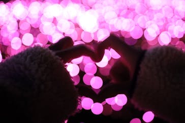 さがみ湖MORI MORIに投稿された画像（2020/11/28）