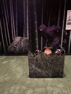 小田原城に投稿された画像（2020/11/28）