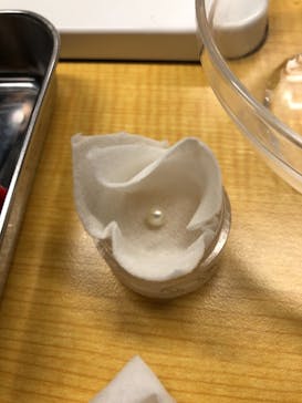 三重県真珠に投稿された画像（2020/11/29）