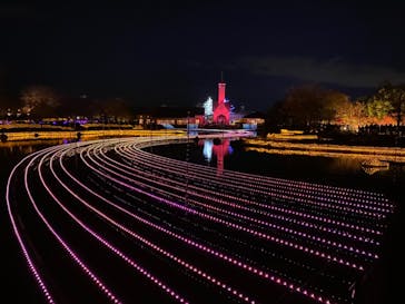 なばなの里に投稿された画像（2020/11/29）