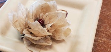 アトリエひわだやに投稿された画像（2020/11/29）