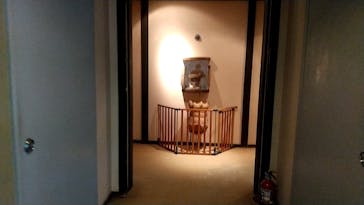 アソビュー株式会社　149986	に投稿された画像（2020/11/29）