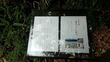 アソビュー株式会社　149986	に投稿された画像（2020/11/29）