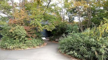 アソビュー株式会社　149986	に投稿された画像（2020/11/29）