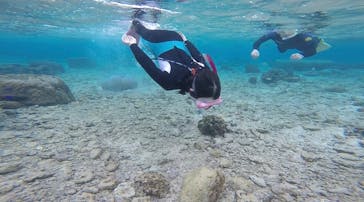 武藤潜水に投稿された画像（2020/11/29）