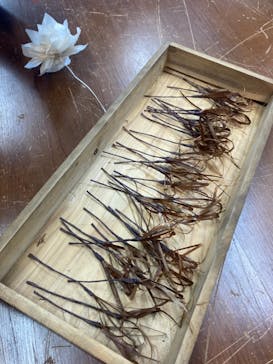 アトリエひわだやに投稿された画像（2020/11/29）