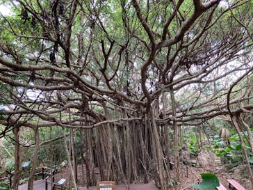 アスムイハイクスに投稿された画像（2020/11/29）