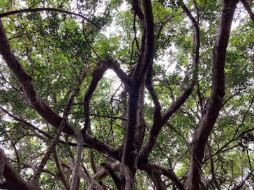 アスムイハイクスに投稿された画像（2020/11/29）