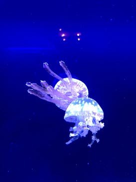 株式会社Gに投稿された画像（2020/11/29）