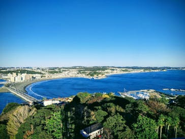 江の島シーキャンドルに投稿された画像（2020/11/29）