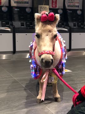 東京メガイルミに投稿された画像（2020/11/29）