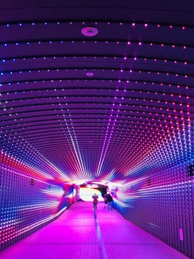 東京メガイルミに投稿された画像（2020/11/29）