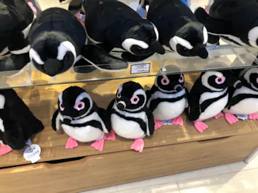 すみだ水族館に投稿された画像（2020/11/29）