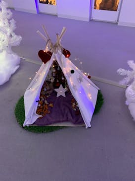 梅田スカイビル・空中庭園展望台に投稿された画像（2020/11/29）