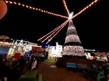 さがみ湖MORI MORIに投稿された画像（2020/11/29）