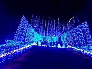 さがみ湖MORI MORIに投稿された画像（2020/11/29）