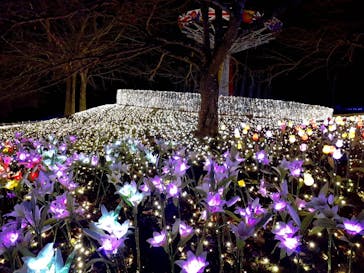 さがみ湖MORI MORIに投稿された画像（2020/11/29）