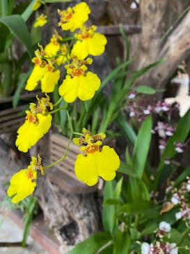 ビオスの丘に投稿された画像（2020/11/29）