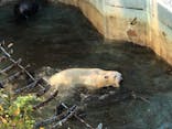 天王寺動物園に投稿された画像（2020/11/29）