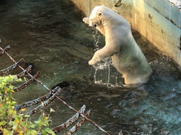 天王寺動物園に投稿された画像（2020/11/29）