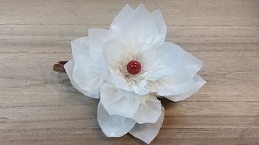 アトリエひわだやに投稿された画像（2020/11/29）