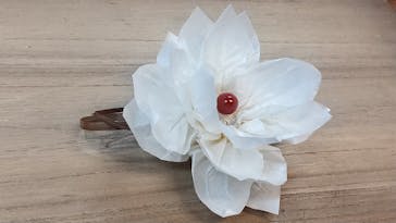 アトリエひわだやに投稿された画像（2020/11/29）