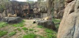 天王寺動物園に投稿された画像（2020/11/29）