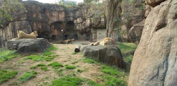 天王寺動物園に投稿された画像（2020/11/29）