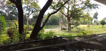 天王寺動物園に投稿された画像（2020/11/29）