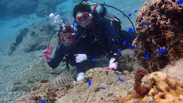 ダイビングショップ Sea Free（シーフリー）に投稿された画像（2020/11/29）