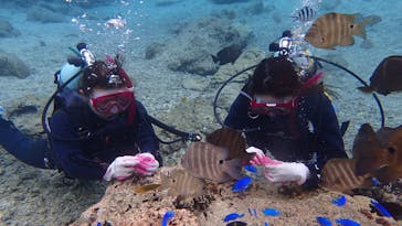 ダイビングショップ Sea Free（シーフリー）に投稿された画像（2020/11/29）